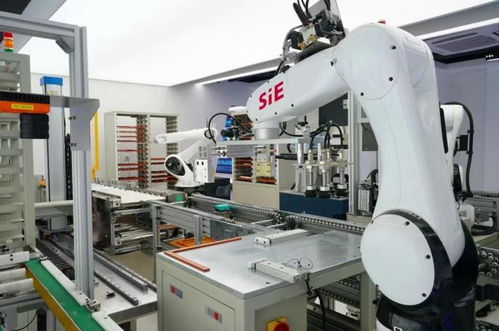 賽意信息2020年度業績說明會 智能制造業務高速增長，研發投入驅動智能機器人創新發展